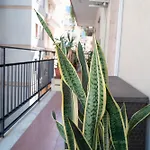 Tabula Rame House