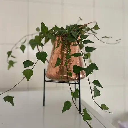 Tabula Rame House Apartamento